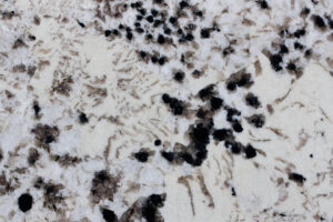 Гранит Delicatus Snow — слэб гранита, Бразилия