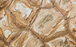 Кварцит Stone Wood Kvartsit — слэб кварцита, Бразилия