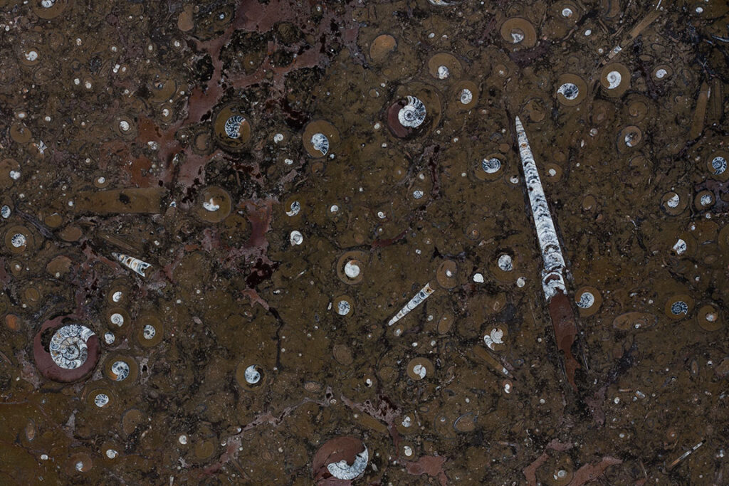 Мрамор Fossil Brown — слэб мрамора, Иран